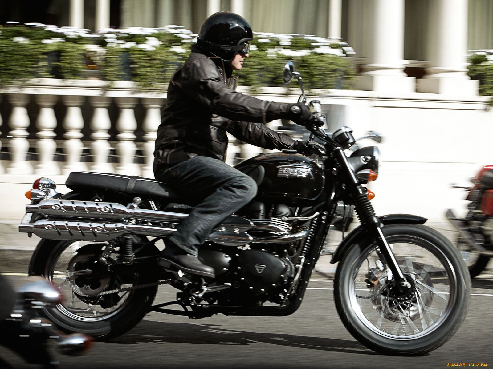 , triumph